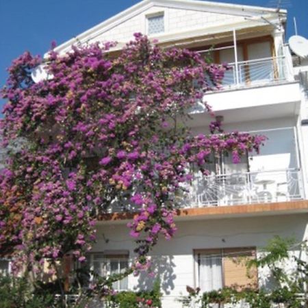 Apartman Graciela Perfect Location Gradac Gradac  Kültér fotó