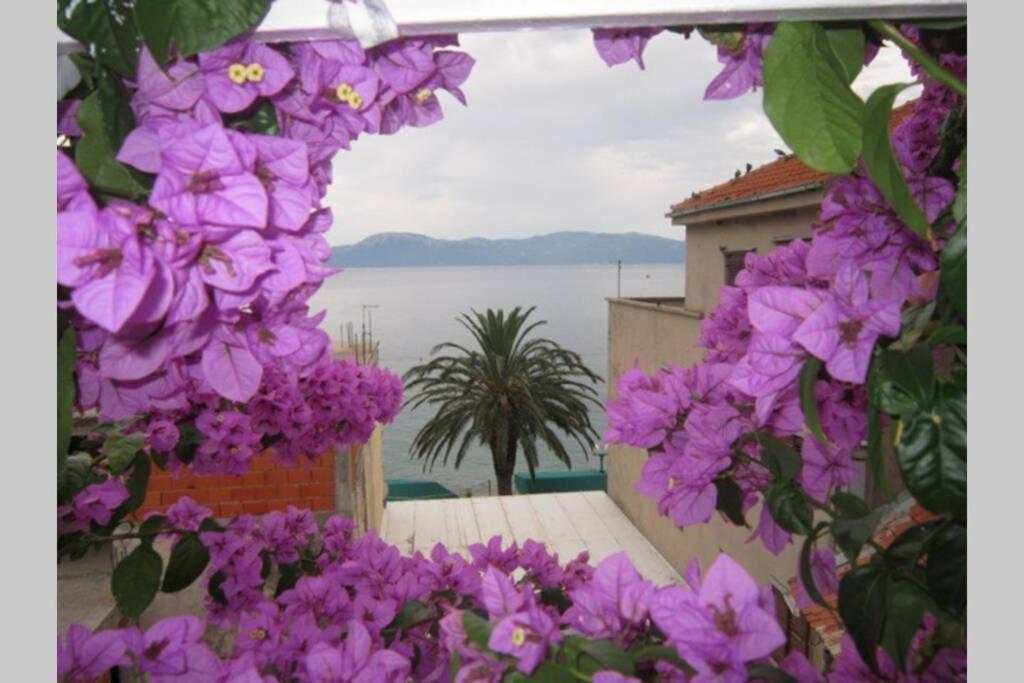 Apartman Graciela Perfect Location Gradac Gradac  Kültér fotó