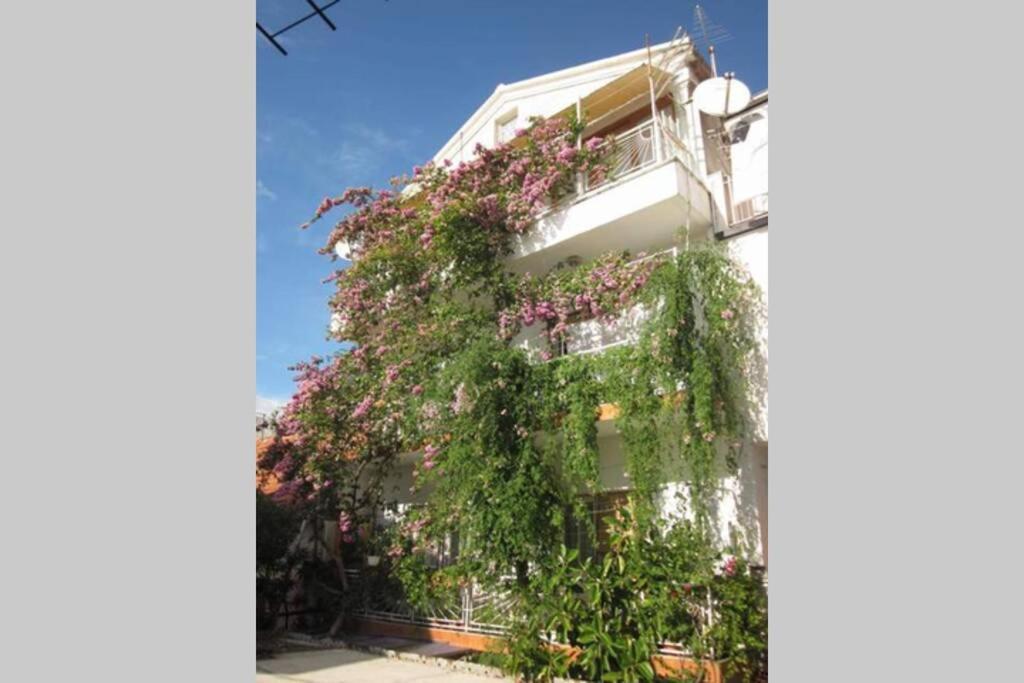 Apartman Graciela Perfect Location Gradac Gradac  Kültér fotó